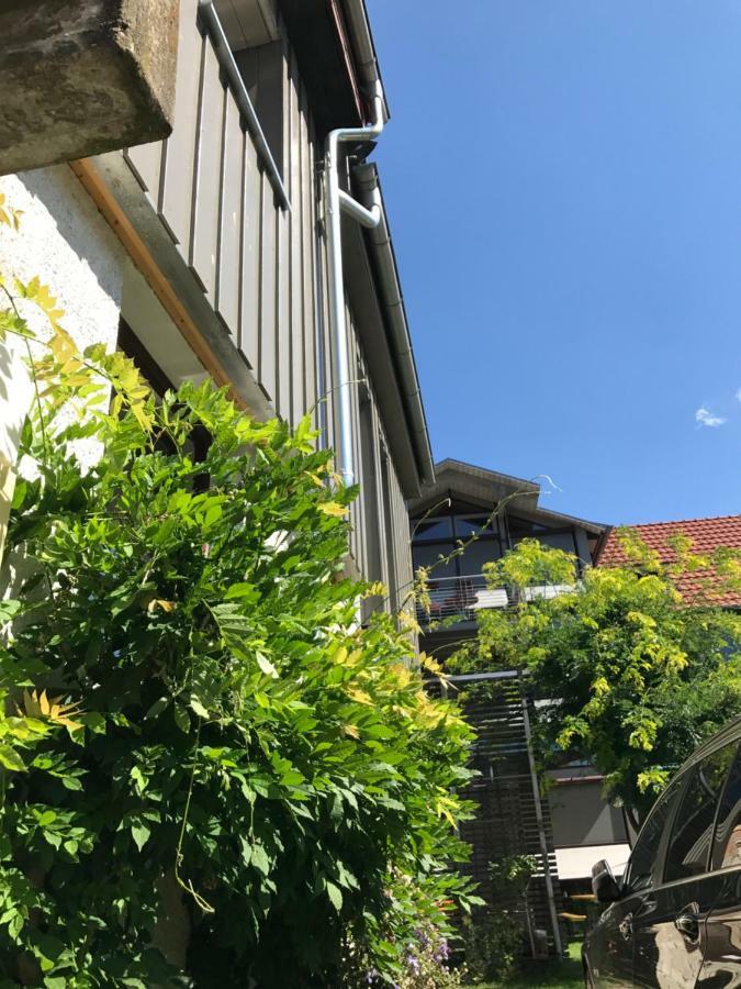 Blackbird'S Nest Wiesenbronn Exterior photo