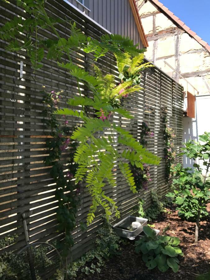 Blackbird'S Nest Wiesenbronn Exterior photo